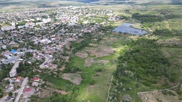 pexels-photo-24425303